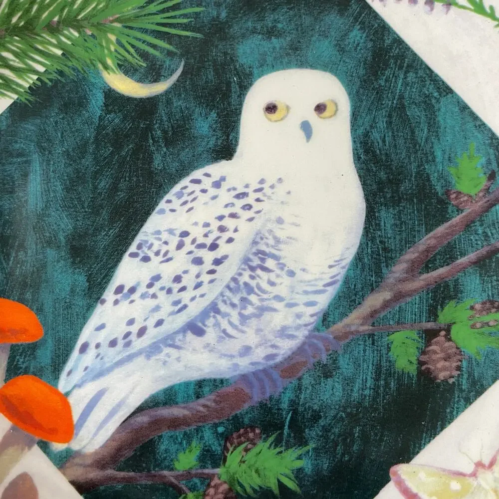 Unbranded floral owl